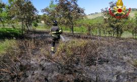 Macerata, fiamme in un campo a Villa Potenza: coinvolta un'area di 10000 metri quadrati (VIDEO)