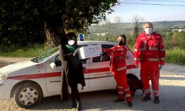 Tolentino, senza sosta la solidarietà del Rotary Club: proseguono anche gli eventi via web
