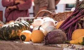 Civitanova, sabato 6 giugno torna il Mercato della terra