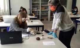 Unicam, ripartono i laboratori didattici