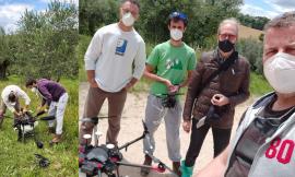 Macerata, l'Istituto Agrario combatte la mosca dell'olivo con un drone: insetticida irrorato dall'alto