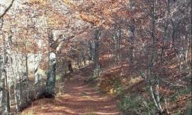 Puliamo il Mondo-speciale Appennino: da Muccia a Visso, 160 studenti andranno a caccia di rifiuti