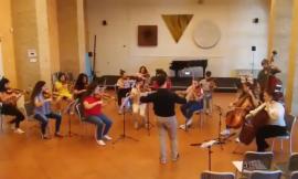 Macerata, tornano i concerti live: i musicisti della scuola "Scodanibbio" si esibiscono a Palazzo Buonaccorrsi