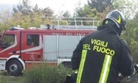 Treia, scoppia incendio all'esterno di un casolare: in fiamme alberi e una legnaia