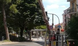Lavori in via Pace a Macerata, la protesta: "Marciapiedi disastrati e stanno tagliando un altro albero" (FOTO)