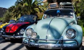 San Severino, piazza del Popolo ospita il raduno delle Volkswagen Classic