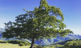 “Fiuminata passione verde”, una Guida accompagnerà i turisti alla scoperta del territorio