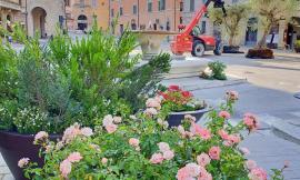 San Severino, Piazza del Popolo diventa un grande giardino all'aperto: il mercato trasloca sino a settembre