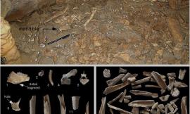 Frasassi, scoperta una grotta frequentata dall'uomo 16mila anni fa: anche Unicam nel gruppo di ricerca