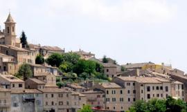 Morrovalle, una disinfestazione a impatto zero per il Pincio: larve di coccinelle per combattere gli afidi