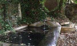 Montelupone,  al via la pulizia delle fonti rurali