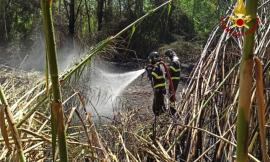 Recanati, incendio in un canneto: a fuoco 1.5 ettari, vigili del fuoco al lavoro (FOTO)