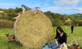 Caseifici agricoli aperti al pubblico: Unimc partner dell'iniziativa