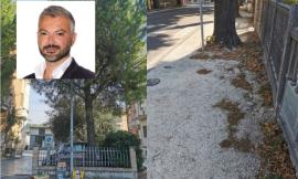 Macerata, Fratelli d'Italia:"incuria e passaggi pedonali pericolosi: a Piediripa regna il degrado"