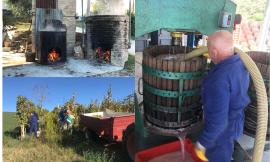 Loro Piceno, "Più è vecchio e più è buono": la Cantina Caonà svela i segreti del vino cotto (FOTO)