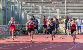 Atletica, tanti successi della Crazy Sport. Da "Tolentino Crazy Run" ai campionati di Grosseto e Forlì