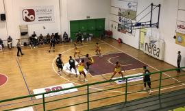 Civitanova, un sabato da ricordare per il basket: doppio successo per Feba e Rossella