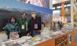 "Ripensare il turismo dopo il lockdown": Sarnano protagonista al Ttg Travel Experience