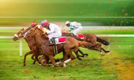 La lenta ripresa delle scommesse sull’ippica nella riapertura di fine estate