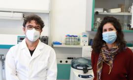 Unicam, da Creta a Camerino per un progetto di ricerca sul controllo della malaria