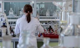 Coronavirus Marche, 683 nuovi casi nelle ultime 24 ore: meno pazienti in intensiva, ma 47 ricoveri in più