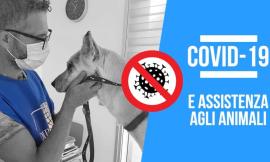Dpcm anti-Covid, come accudire gli animali: le linee guida dell'Oipa