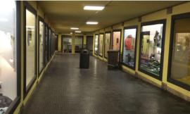 Macerata, bacheche luminose e vetrine gratis per i commercianti: l'iniziativa di Parcaroli