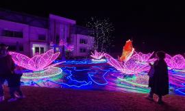 Civitanova, l'albero tematico di Pellegrini Giardini accende il Natale: pronta l'inaugurazione
