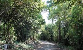 Riqualificazione del parco di Villa Lauri : menzione speciale al Comune di Macerata