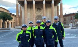 Camerino - La Polizia Locale dona alla città l'albero di Natale, Sborgia: "Gesto esemplare"