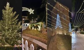 Porto Recanati, acceso l'albero di Natale donato da Ussita