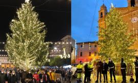 A Civitanova il Natale entra nel vivo: accesi i due alberi di piazza della Libertà e XX Settembre