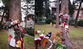 Macerata, strappata la foto di Pamela dal giardinetto in via Spalato: "Perché tanto disprezzo?"