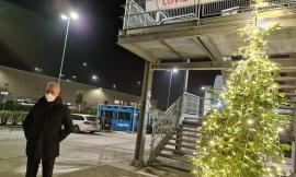 Civitanova, acceso l'albero di Natale al Covid Hospital. Il sindaco: "È il più significativo"