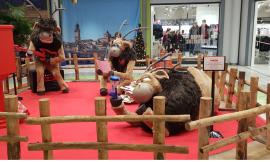 Al Centro Commerciale Val di Chienti arrivano le renne  di Babbo Natale: ecco quando incontrale