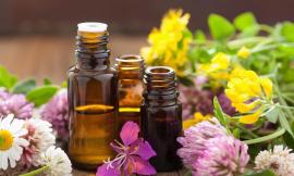 Proprietà dei fiori di Bach: gli effetti benefici della floriterapia