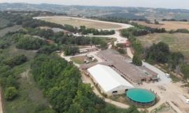 Civitanova, progetto "Riesco": l’ippoterapia come metodo d’inclusione sociale