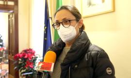 Macerata, piano triennale delle assunzioni: la Giunta cerca un Medico Veterinario Comunale