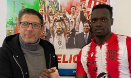 Colpo a centrocampo per il Matelica: preso Mbaye dal Novara