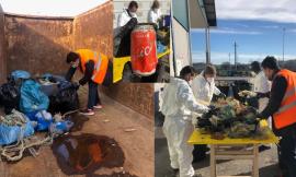 Zero Plastica in Mare, a Civitanova avviato il monitoraggio dei rifiuti recuperati dai pescatori