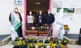 8 Marzo, fiori e mimose per ogni Casa di Riposo dell'ATS 15: il dono di tre associazioni maceratesi