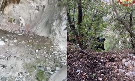 Cane scivola in un dirupo: delicato intervento di recupero da parte dei Vigili del Fuoco