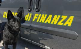 Civitanova, le Fiamme Gialle arruolano Hanima: il suo fiuto infallibile per l'unità cinofila