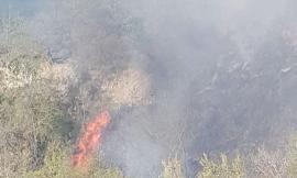 Treia, fiamme in un'area boschiva: incendio domato dopo oltre 4 ore. Si sospetta il dolo (VIDEO)