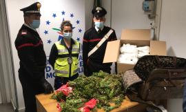 Nelle valigie 76 kg di droga: arrestati due uomini all'aeroporto
