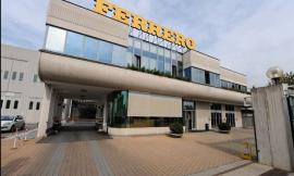 La “Ferrero” mette gli occhi su Potenza Picena: in cantiere progetto dedicato al nocciolo