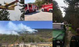 Rogo Caldarola, fiamme spente in mattinata: "La prontezza del comandante Tosti ha evitato il peggio"