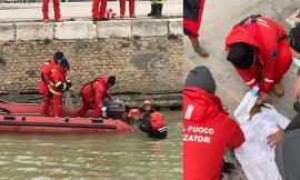 Un capriolo finisce in acqua al porto di Senigallia: lo recuperano i vigili del fuoco (VIDEO)