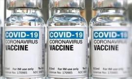 Covid, la Corte Costituzionale "salva" l'obbligo vaccinale: bocciati i ricorsi