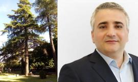 Tolentino, Bisonni accusa l'Amministrazione: "Ottenuto l'abbattimento di 12 alberi protetti"
